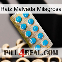 Raíz Malvada Milagrosa new09